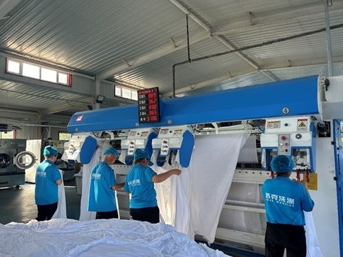 西部乌镇 乌尔禾乡村振兴中的就地现代化探索与实践——劳务服务的角色与路径